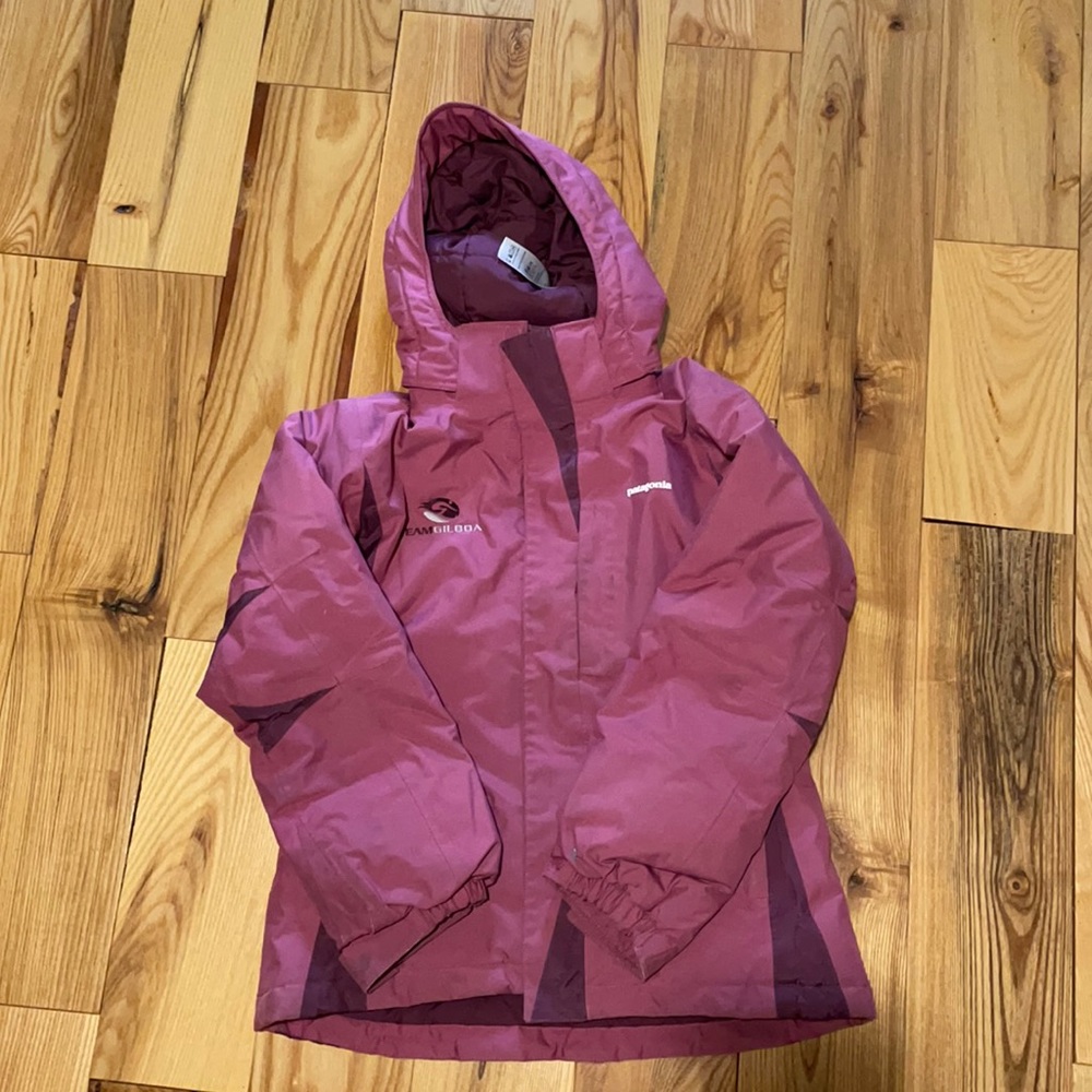 Patagonia team ski jacket
